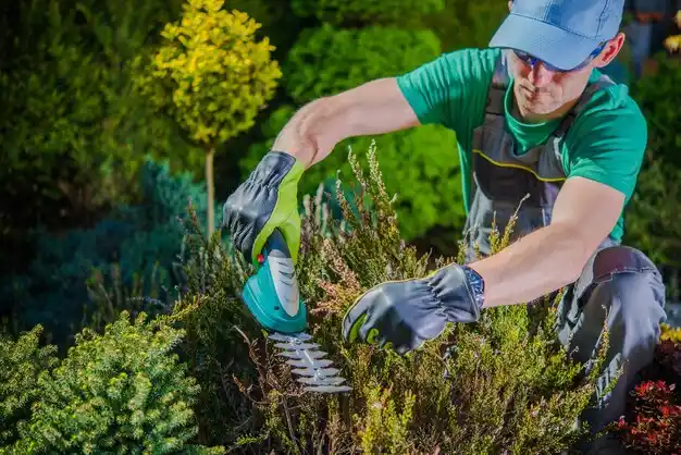 landscaping services Westfield Center